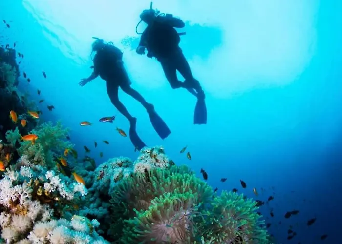 Buena Pesca 18 By Jk Lanzarote